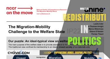 Understanding Political Redistribution: Mechanisms, Impact, and Global Perspectives