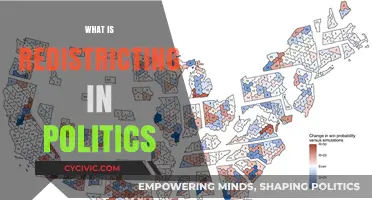 Understanding Redistricting: How Political Boundaries Shape Elections and Power