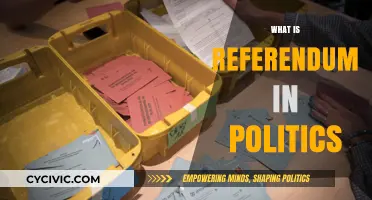 Understanding Referendums: Direct Democracy in Political Decision-Making Explained