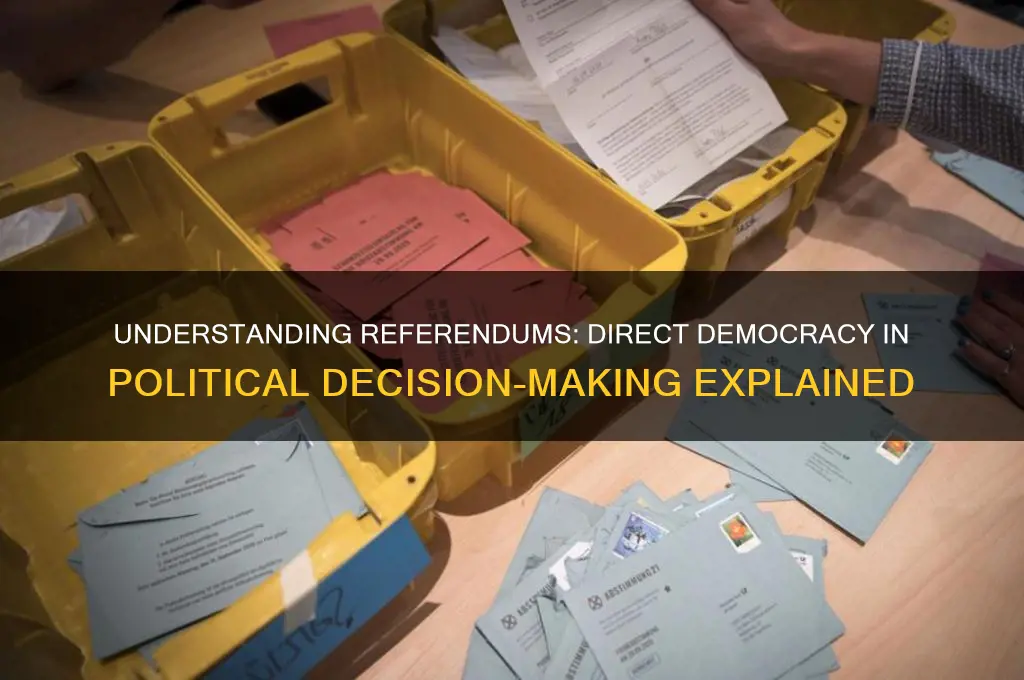 what is referendum in politics