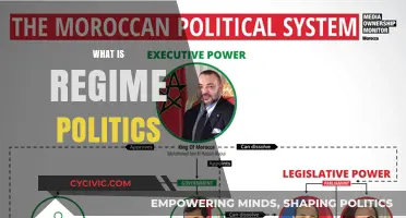Understanding Regime Politics: Power Structures and Governance Explained