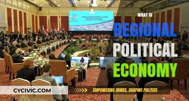 Understanding Regional Political Economy: Dynamics, Influences, and Global Impacts