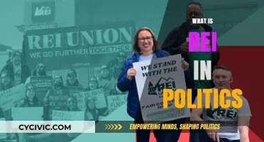Understanding REI: Its Role and Impact in Modern Political Landscapes