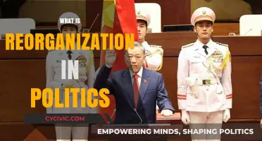 Understanding Political Reorganization: Strategies, Impacts, and Historical Context