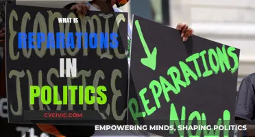 Understanding Reparations: Political Justice, Historical Redress, and Social Equity Explained