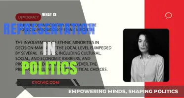 Understanding Political Representation: Who Speaks for Whom in Democracy?