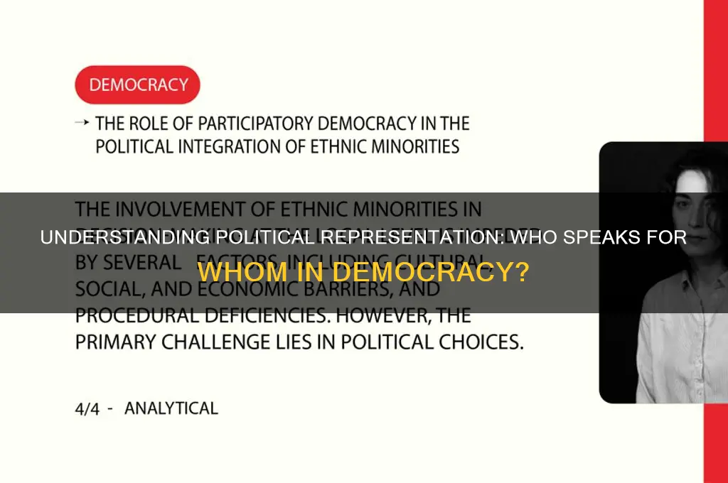 what is representation in politics