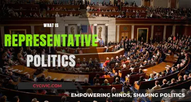 Understanding Representative Politics: Democracy's Core Mechanism Explained Simply