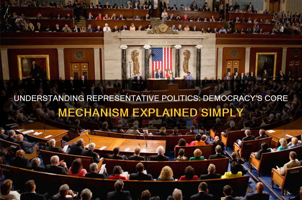 what is representative politics