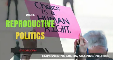 Understanding Reproductive Politics: Rights, Policies, and Social Justice Explained