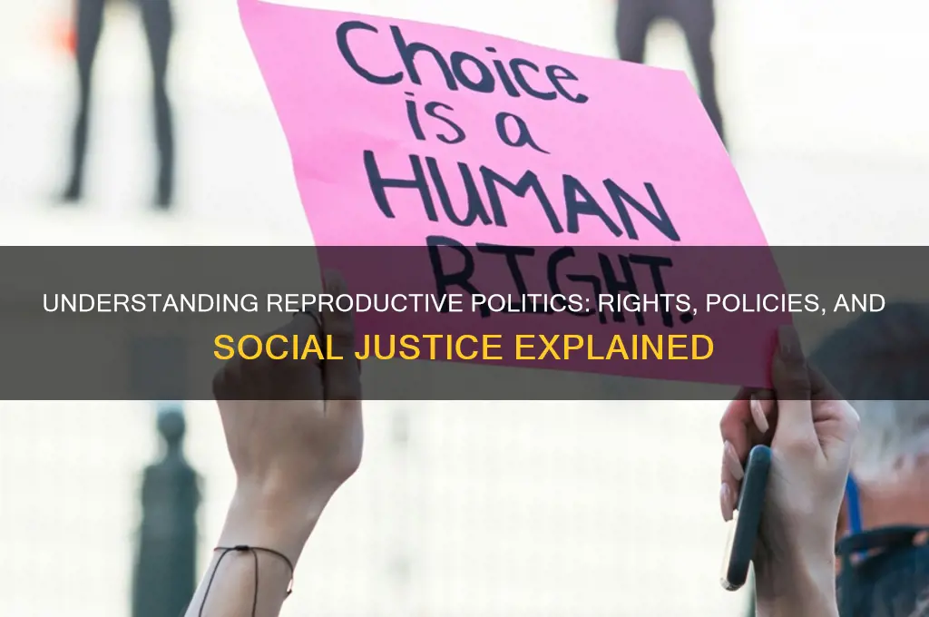 what is reproductive politics