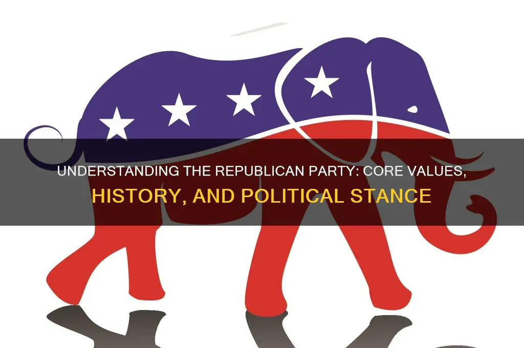what is republican political party