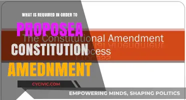The Process of Proposing a Constitutional Amendment