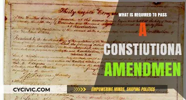 The Challenge of Amending the Constitution
