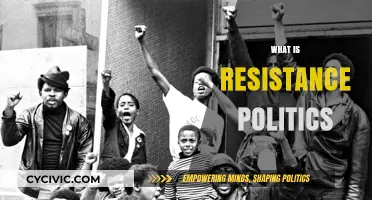 Understanding Resistance Politics: Strategies, Movements, and Social Change