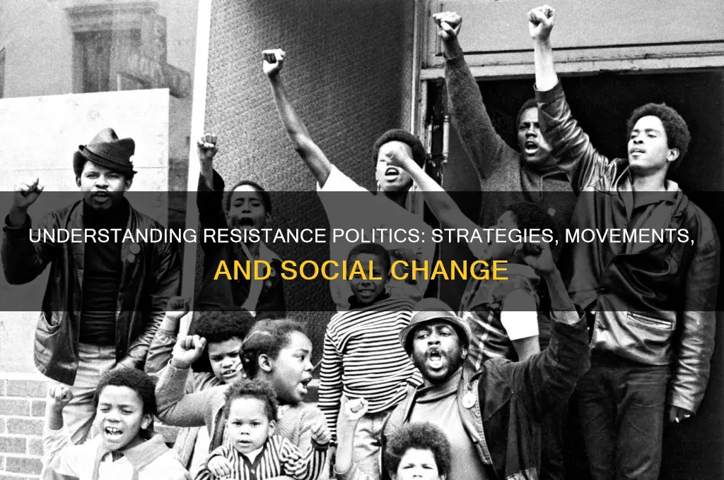 what is resistance politics