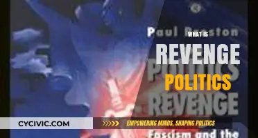 Understanding Revenge Politics: Tactics, Impact, and Consequences in Modern Governance