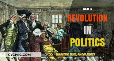 Understanding Political Revolution: Causes, Impact, and Historical Significance