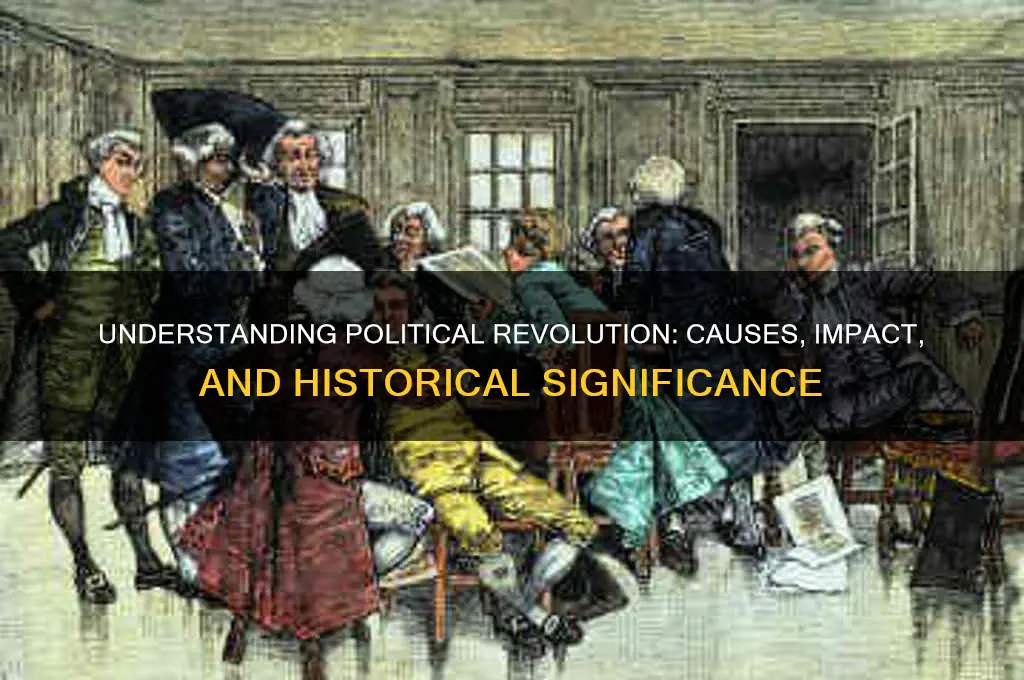 what is revolution in politics