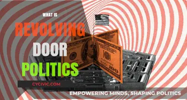 Revolving Door Politics: Understanding the Cycle of Power and Influence