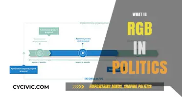Understanding RGB: Political Implications and Cultural Significance Explained