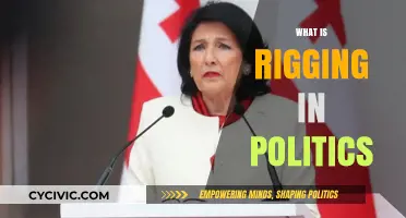 Understanding Political Rigging: Tactics, Impact, and Democratic Consequences