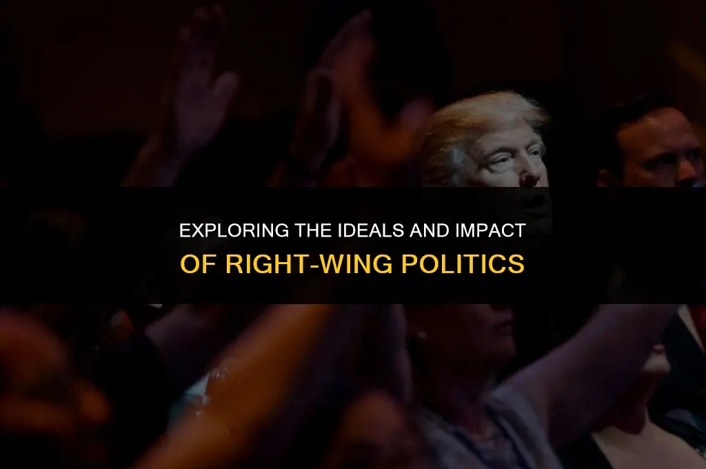 what is right wing politics