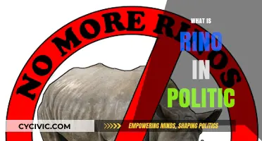 Understanding RINO: Its Meaning, Impact, and Role in Modern Politics