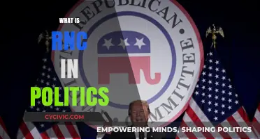 Understanding the Role of RNC in American Political Landscape
