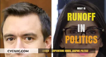 Understanding Political Runoff Elections: Process, Purpose, and Impact Explained