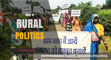 Understanding Rural Politics: Power, Community, and Local Governance Explained