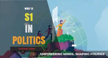 Understanding S1: Its Role and Impact in Political Legislation