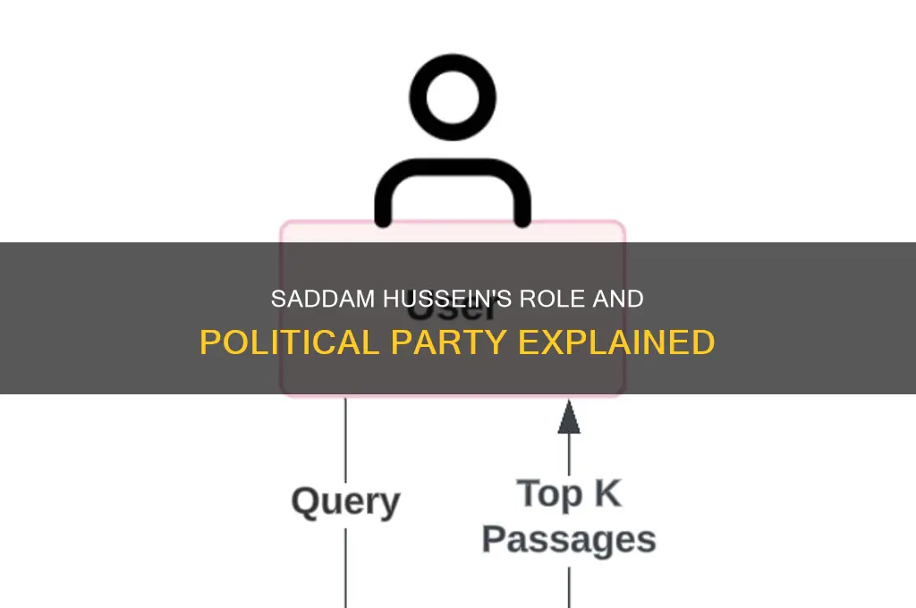 what is saddam hussein do and what political party
