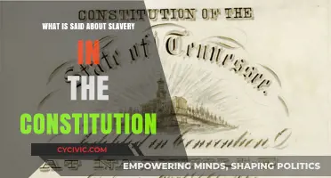 Slavery in the Constitution: Examining the Text