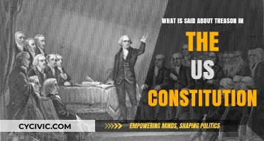 Treason in the US: Constitutional Definition and Punishment