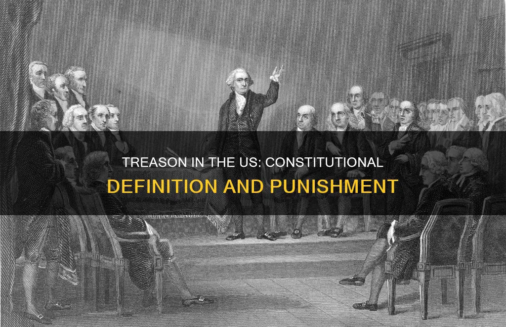 what is said about treason in the us constitution