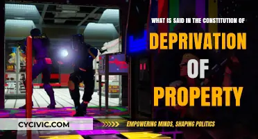 The Constitution's Take on Deprivation of Property