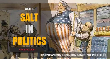 Understanding the Hidden Meaning of Salt in Political Discourse