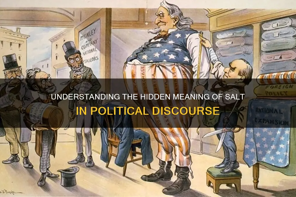 what is salt in politics