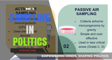 Understanding Political Sampling: Methods, Impact, and Real-World Applications