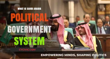 Understanding Saudi Arabia's Unique Political Government System