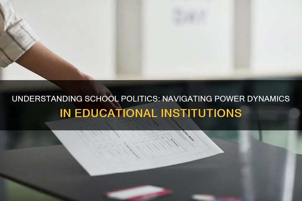 what is school politics