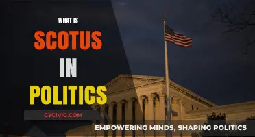 Understanding SCOTUS: The Supreme Court's Role in American Politics