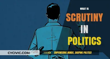 Understanding Political Scrutiny: Its Role, Impact, and Importance in Democracy