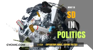 Understanding SD: Sustainable Development's Role in Modern Political Strategies