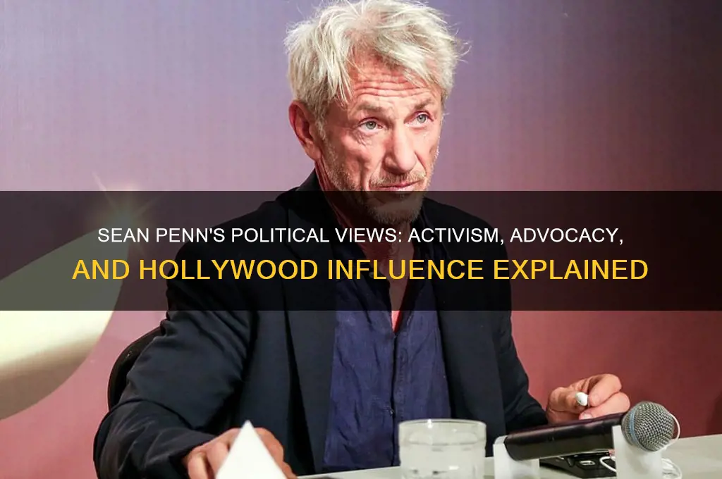 what is sean penn political