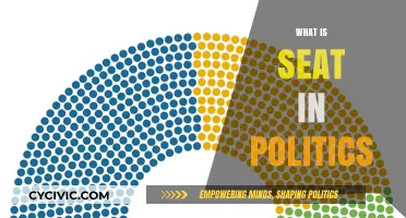 Understanding the Role and Significance of a Seat in Politics