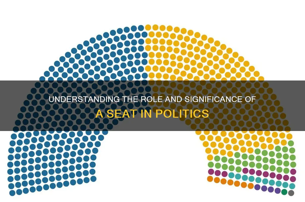 what is seat in politics