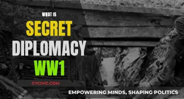 The Dark Art of Secret Diplomacy in World War I