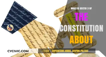 Understanding the Constitution: Section 3 Powers